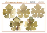 Pagina 63