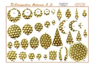 Pagina 78