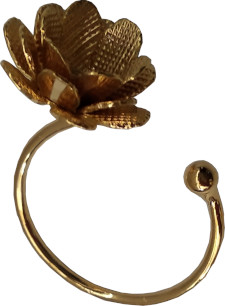 Anillos