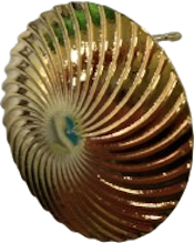 24556