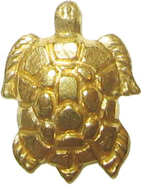 Tortuga
