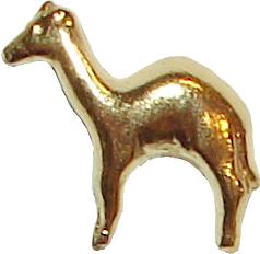 Camellos