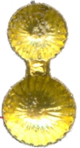 05217