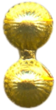 05258