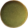 06906