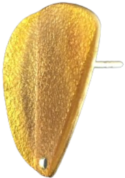 07229